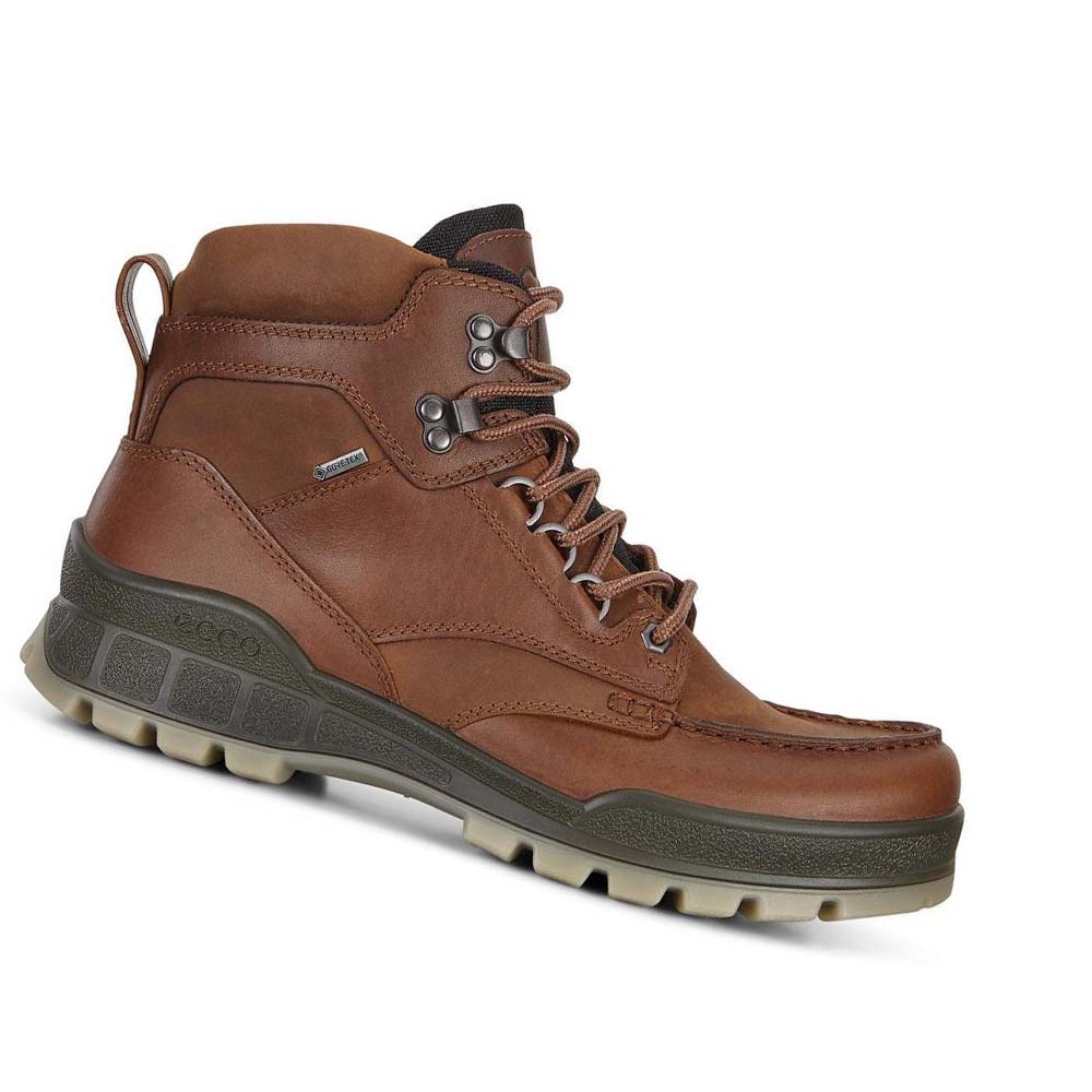 Men\'s Ecco Track 25 High Hiking & Trail Coffee | USA 571FDN